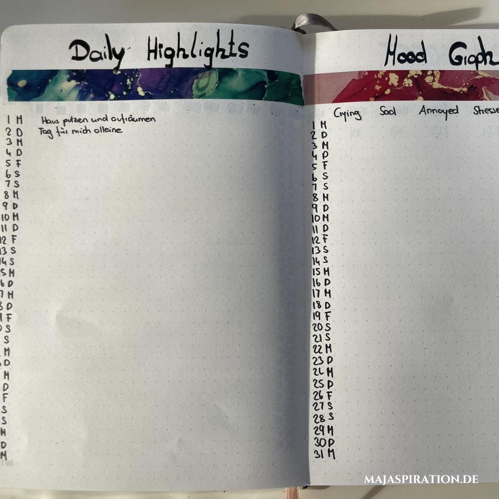 Bullet Journal Daily Habits Idee